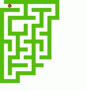 Hidden Maze